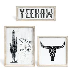 three framed pictures with the words yeehn, stay wild and cactus on them