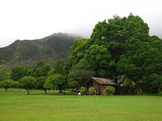 a small cabin in the middle of a lush green field with mountains in the background