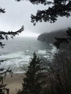 the ocean is surrounded by pine trees on a cloudy day with fog in the air