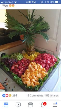 a bunch of different types of food on a table with a palm tree in the middle