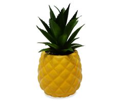 a pineapple shaped plant in a yellow ceramic pot on a white background with clippings