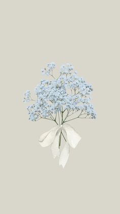 a bouquet of blue flowers with a white bow on it's neck, against a gray background