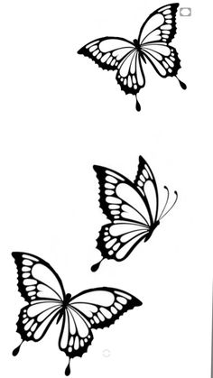 two black and white butterflies flying side by side on a white background with the words, butterfly