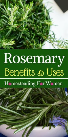 rosemary benefits and uses for women