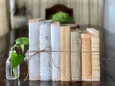 three books tied together with twine and a plant in a glass vase on the table