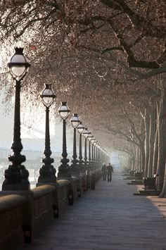 people are walking down the sidewalk next to trees and street lamps on either side of the walkway