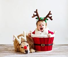 a baby and a dog wearing reindeer antlers in a christmas basket with santa claus's hat on