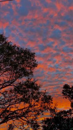 the sky is pink and blue as it sets in the distance with some trees on either side