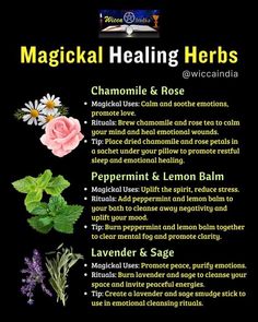 Herb Combinations, Flower Healing, Wiccan Illustration, Herbal Witch, Healing Flowers, Flower Magic, Herbal Magic For Wiccans