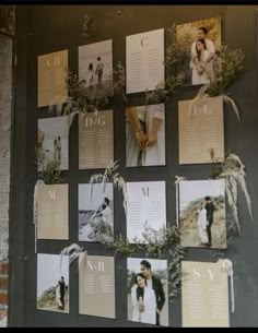 a wall covered in photos and pictures with greenery