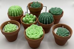 small potted plants with candles in them sitting on a table top next to each other