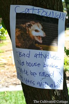 a sign posted on the side of a tree