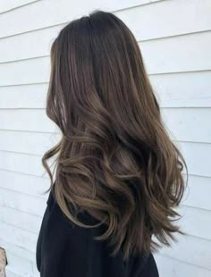 Long Brunette, Brown Blonde Hair, Long Wigs, Light Brown Hair, Hair Color Trends