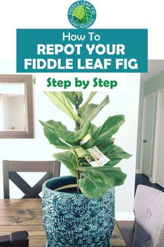 a potted plant sitting on top of a wooden table