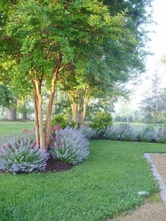 the garden is full of flowers and trees