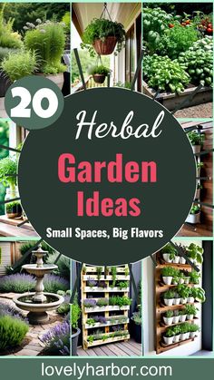 20 Herb Garden Ideas: Small Spaces, Big Flavors Herb Garden Inspiration, Herbal Garden Design, Small Herb Garden Ideas, Patio Herb Garden Ideas, Herb Garden Ideas Outdoor, Herb Garden Outdoor, Indoor Herb Garden Ideas, Herb Garden Indoor, Decorative Solar Garden Lights