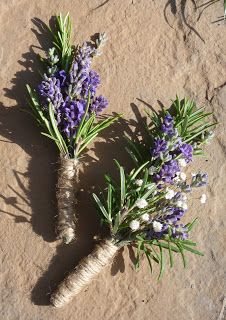 two purple flowers sitting on top of a sandy ground