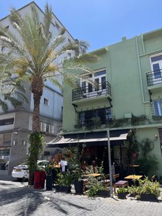 a palm tree in front of a green building