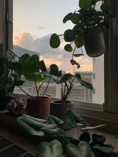 two potted plants on a window sill in front of a cityscape