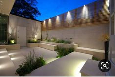 an outdoor area with steps and plants lit up by lights at the end of the walkway