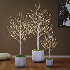 three small white trees with lights in them on a wooden floor next to a wall