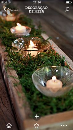 candles are lit in glass bowls with moss growing on the bottom, and surrounded by greenery