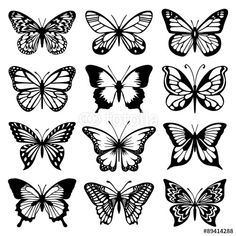 the different butterflies are shown in black and white