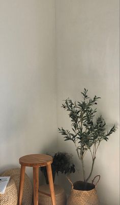 two small stools next to a potted plant in a room with white walls