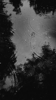 black and white photograph of raindrops on the water with trees in the background