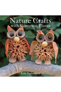 two stuffed owls sitting on top of a tree branch with the caption nature crafts with common plants