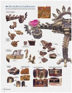 an info sheet showing the different parts of a dragon's body and its surroundings