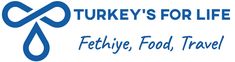 turkey's for life logo with the words, festive food and travel written below it