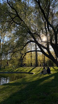 two people sitting on the grass under a tree next to a body of water with trees in the background