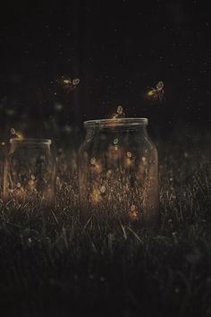 three glass jars with lights in them sitting on the grass, all lit up at night