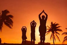 three people are doing yoga in front of palm trees and the sun setting behind them