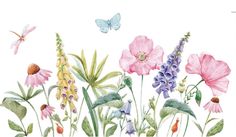 watercolor painting of pink flowers and butterflies