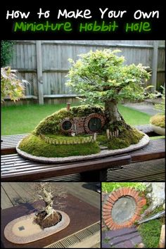 an outdoor miniature hobbot hole with moss growing on it and the text how to make your own miniature hobbot hole