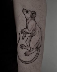 a black and white photo of a lizard on the leg, with an outline in the shape of a gecko