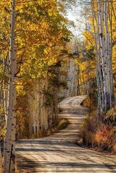 Happy Fall, Time Of The Year, Colorado, Photography, Travel, Color