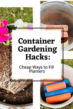 images of container fillers with text overlay container gardening hacks cheap ways to fill planters Lasagna Gardening, Buffet Ideas, Garden Hacks, Gardening Hacks, Plant Problems