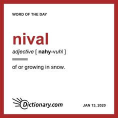 the word of the day nival adjective i / nay - vuh [ of or growing in snow ]