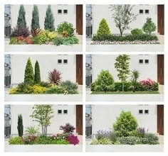 several pictures of different types of trees and shrubs