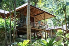 a wooden house surrounded by trees in the jungle with lots of greenery around it