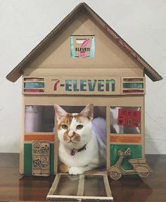 a cat sitting in a cardboard house made to look like it's been built