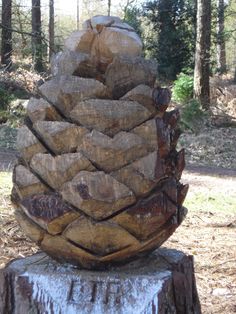 a large piece of wood sitting on top of a tree stump