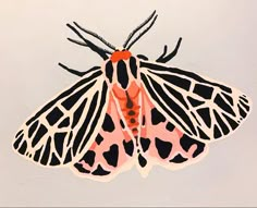 an orange and black butterfly with spots on it's wings sitting on a white surface