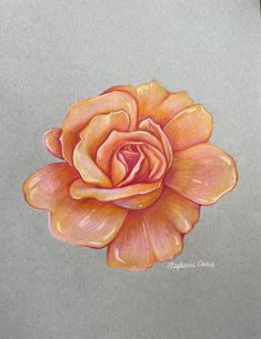 a drawing of a pink rose on a gray paper with colored pencils in it