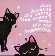 two black cats standing next to each other with the caption just because its taking time doesn't mean it's not happening