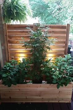 Outdoor Privacy Screens - Visit Amazon.com to get the best products. Privacy Planter, Diy Privacy Screen, Deck Planters, Patio Privacy Screen, Patio Privacy, Privacy Fence Designs, Cedar Planters, Garden Privacy