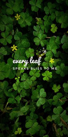 green leaves with the words, every leaf speaks bliss to me on it's side